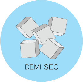 Demi Sec