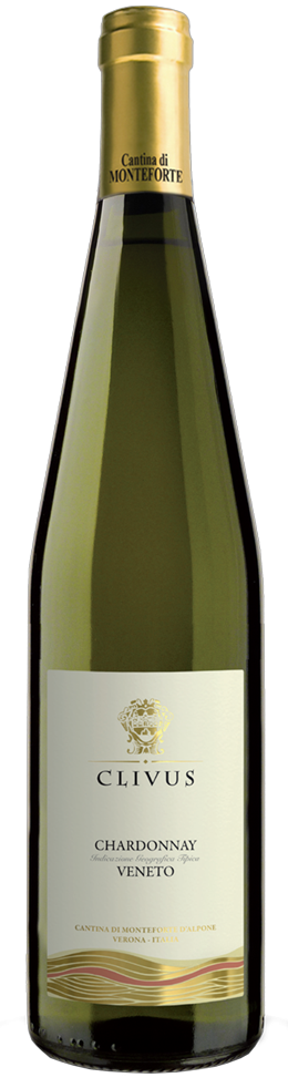 CLIVUS CHARDONNAY IGT